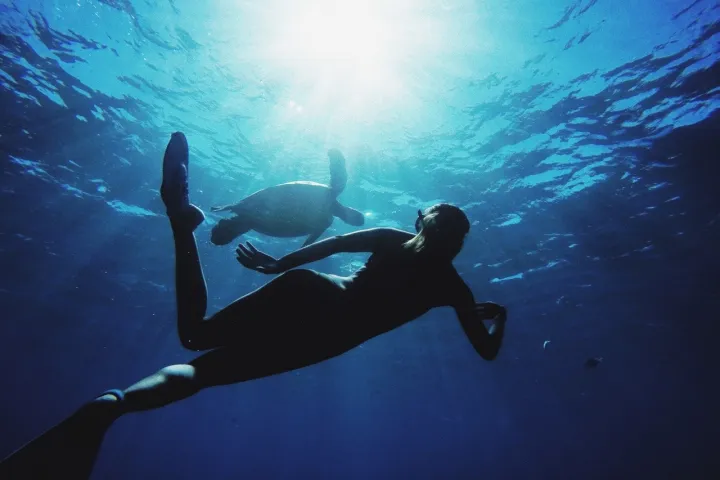 swimming with turtles