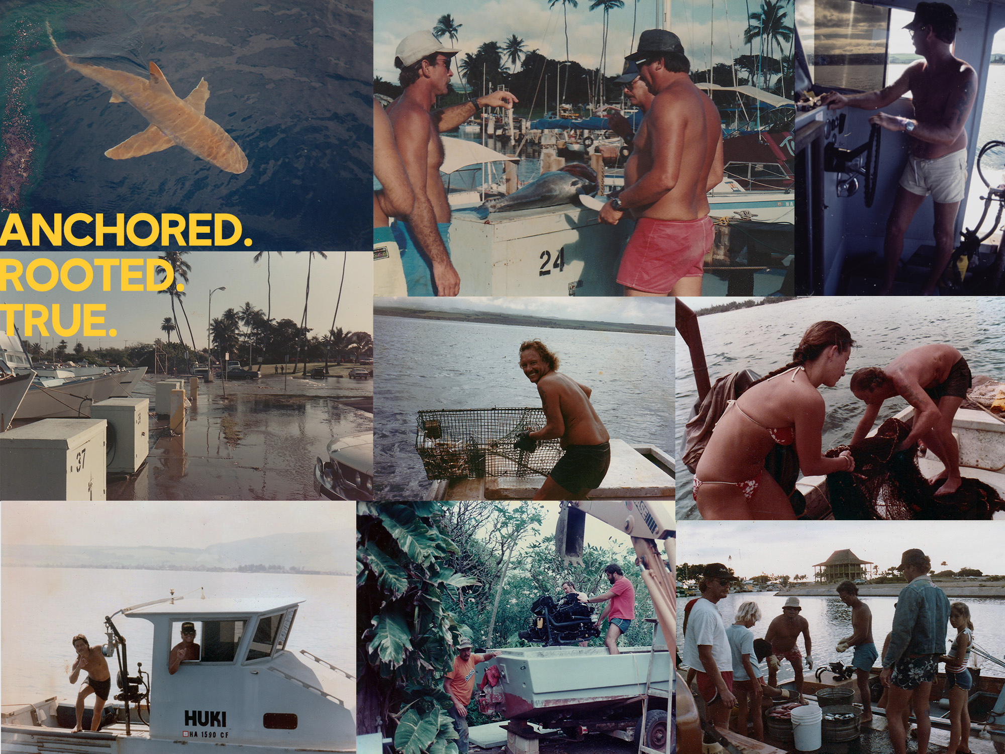 vintage photos of haleiwa harbor